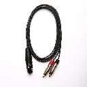 xlr rca 2m 1.webp