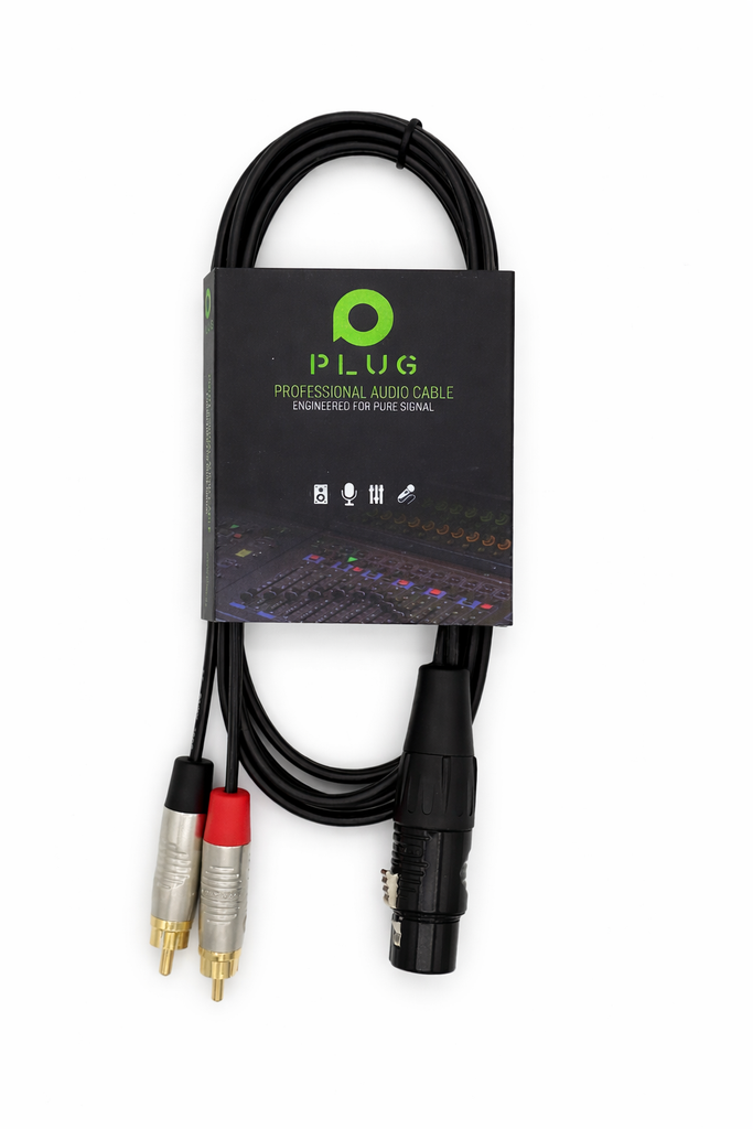 PLUG CONNECT 2 RCA/XLR F